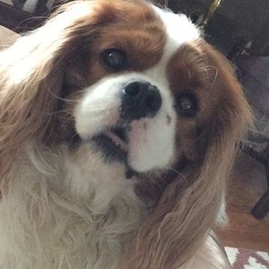 Meet your Posher, Marty